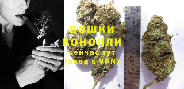 хмурый Заводоуковск