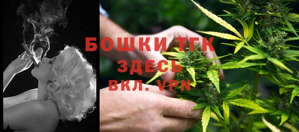 хмурый Заводоуковск